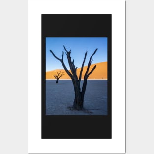 Tree on salt pan. Posters and Art